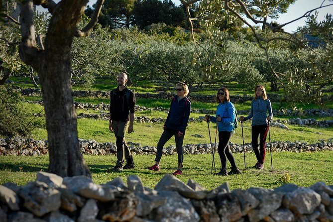 Hiking tour Vidova gora and visiting Museum of olive oil - Exploring Brac Island’s Highest Peak with a Guided Hike and Olive Oil Museum Visit