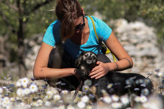 Hiking tour Vidova gora and visiting Museum of olive oil - Practical Details and Group Dynamics
