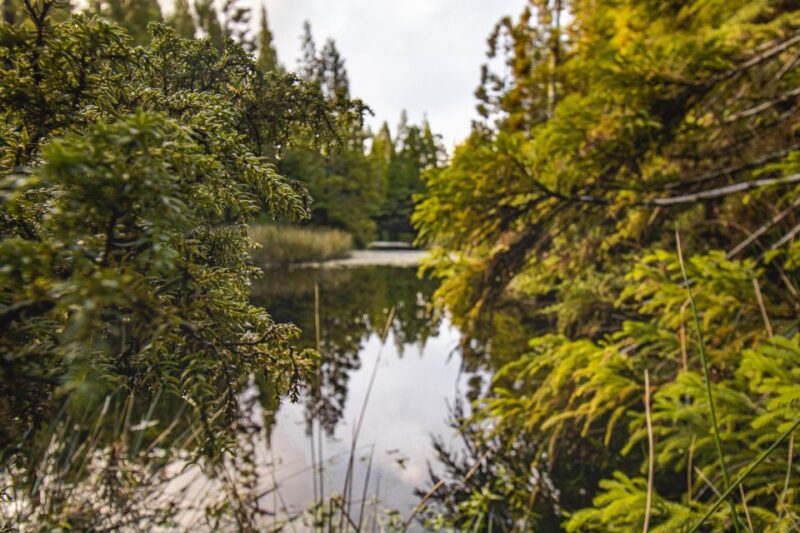 Hiking Trails - Discovering Terceira’s Natural Landscapes