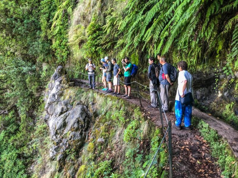Hiking Trip with a Local - The Tour’s Flexibility and Personalization