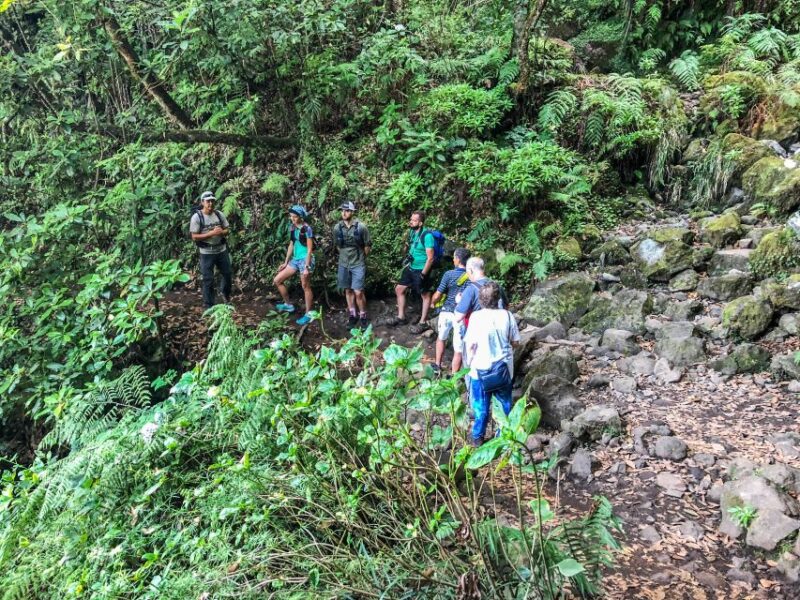 Hiking Trip with a Local - Preparing for Your Madeira Hike