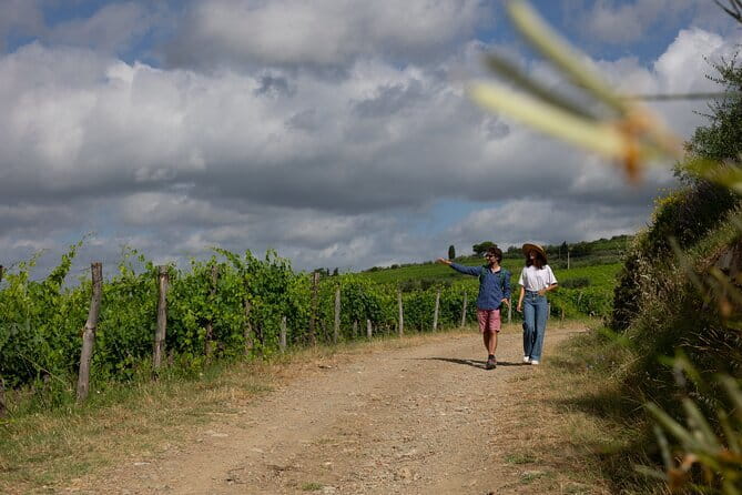 Hiking Tuscany & Chianti Wine - 3 Organic Wineries with lunch - Key Points