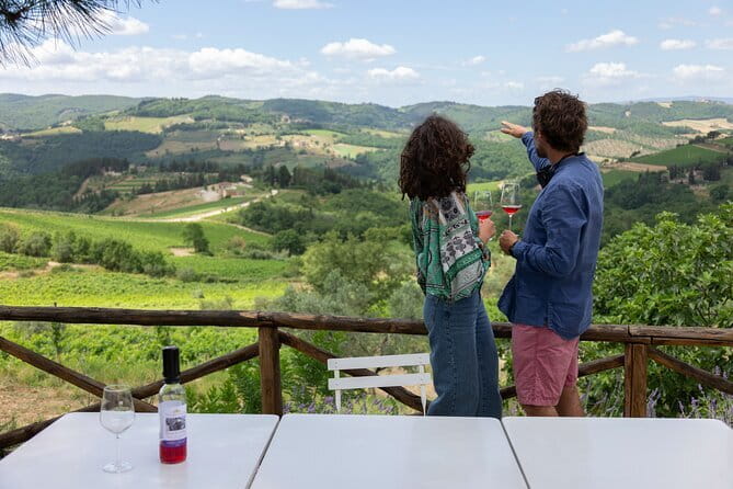 Hiking Tuscany & Chianti Wine - 3 Organic Wineries with lunch - Visiting Three Organic Wineries for Authentic Wine and Olive Oil Tastings
