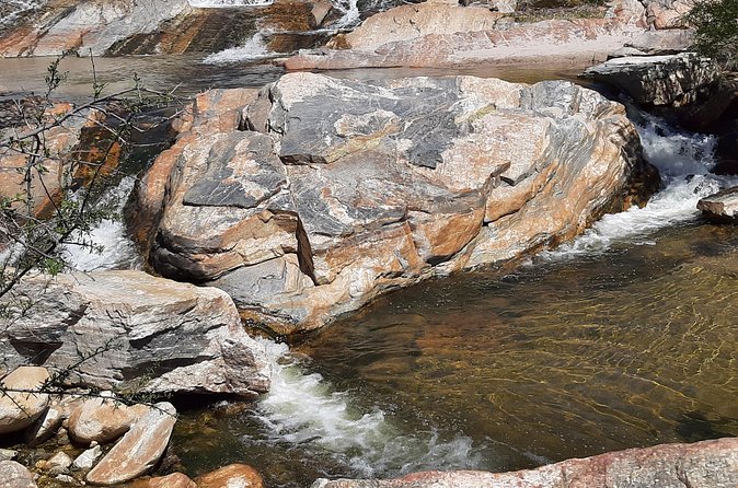 Hiking Ventana Canyon and Sabino Canyon - Flora and Wildlife Encounters in the Catalina Mountains