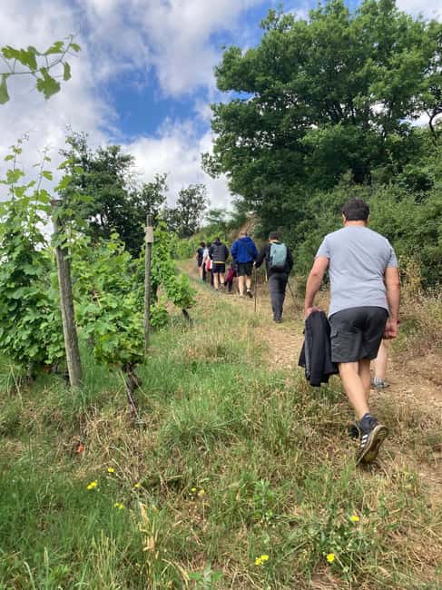 Hiking & Wine between Côte-Rôtie and Condrieu - Practical Details and Recommendations