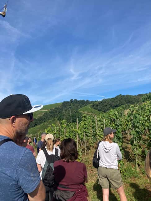 Hiking & Wine between Côte-Rôtie and Condrieu - Value and Overall Impression of the Tour