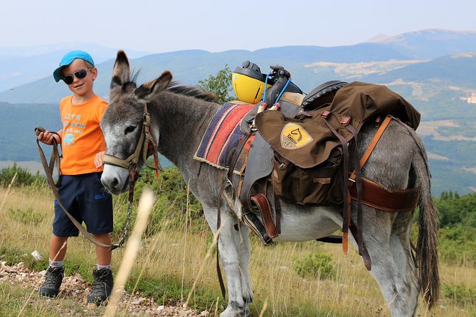 Hiking with donkeys - Booking, Cancellation, and Weather Conditions