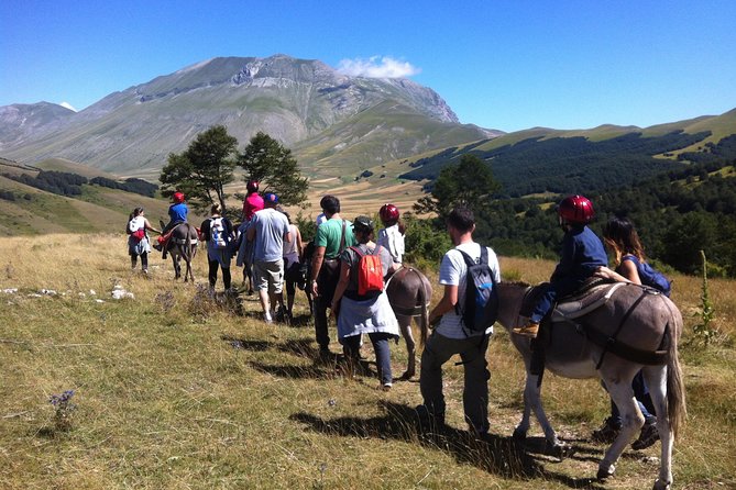 Hiking with donkeys - What Reviews Say About the Experience