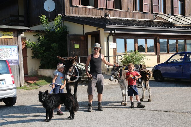 Hiking with donkeys - Final Thoughts on Hiking with Donkeys