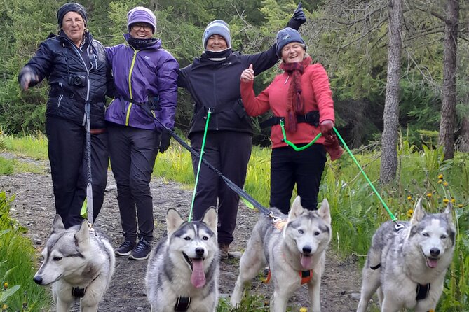 Hiking with Husky in Akureyri - Key Points