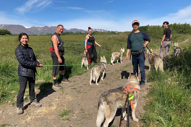 Hiking with Husky in Akureyri - The Unique Charm of This Husky Tour in Akureyri