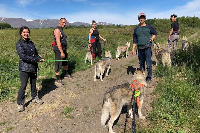Hiking with Husky in Akureyri (private) - Meeting Point and Logistics in Akureyri
