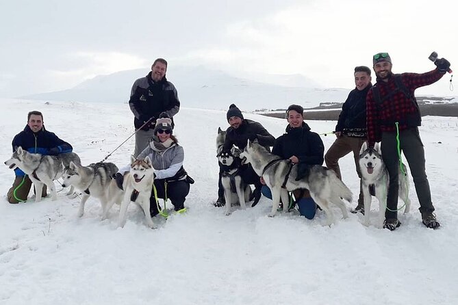Hiking with Husky in Akureyri (private) - Scenic Trails and Natural Highlights