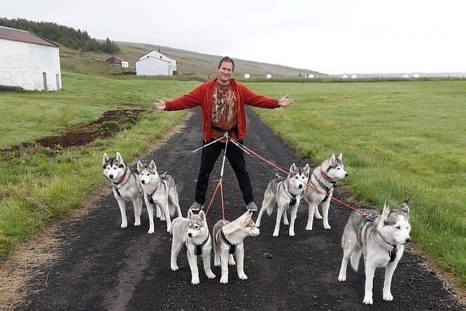 Hiking with Husky in Akureyri (private) - Concluding the Akureyri Husky Hike