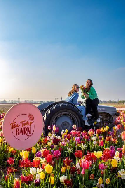 Hillegom: Tulip Barn Entry Ticket - Accessibility and Practical Tips