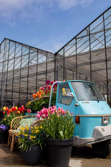 Hillegom: Tulip Barn Entry Ticket - Comparing the Tulip Barn to Other Holland Flower Tours