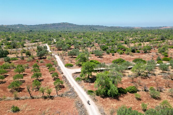 Hills & Thrills: 4 Hr Fonte da Benémola Electric Motorbike Tour - Key Points