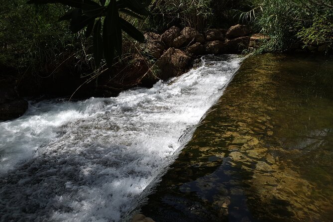 Hills & Thrills: 4 Hr Fonte da Benémola Electric Motorbike Tour - Who Should Consider This Tour?