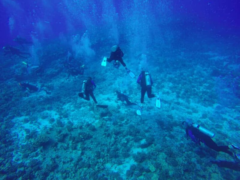 Hilo: 2 Tank Remote Reefs Diving Trip with Snacks and Drinks - Logistics: Meeting point and booking flexibility