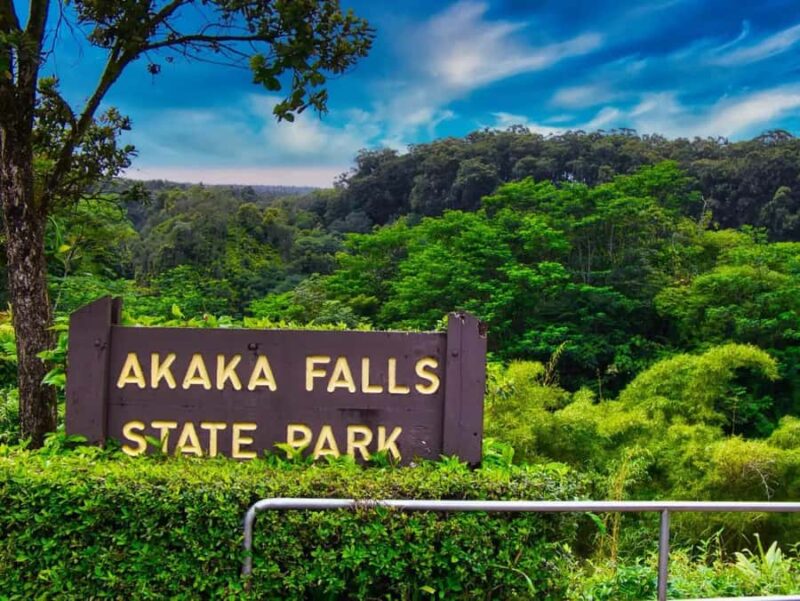 Hilo: Akaka Falls, Volcanoes, and Rainbow Falls Guided Tour - Visiting Liliuokalani Park and Gardens