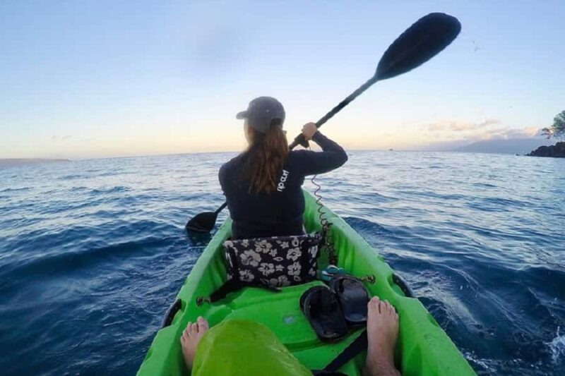 Hilo Bay & Coconut Kayak Adventure - Discover the Historic and Natural Highlights of Hilo Bay