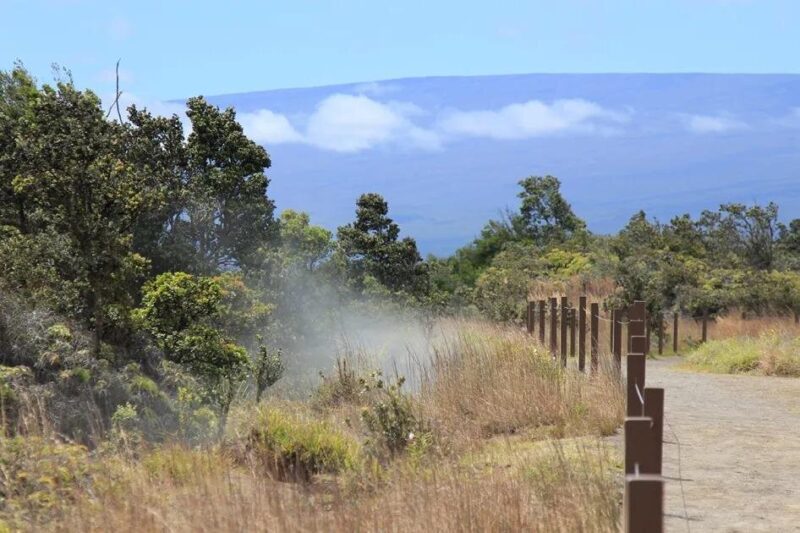 Hilo Cruise Ship Excursion: Volcanoes National Park Rainbow Falls - Sampling Local Specialties at Big Island Candies