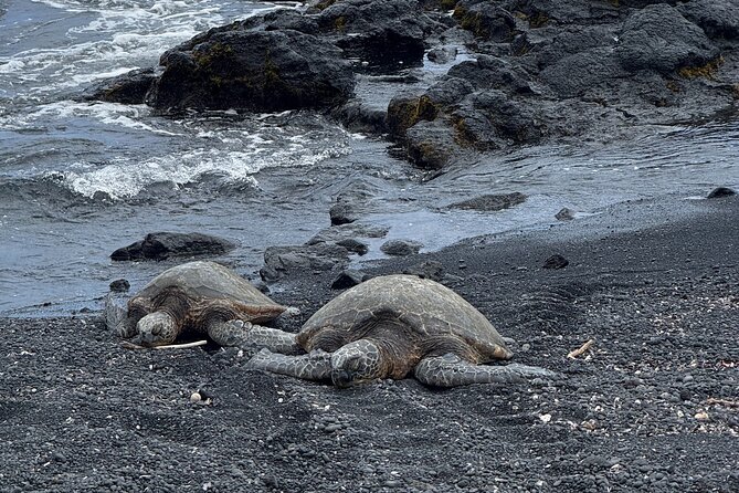 Hilo Excursion Volcanoes Akaka Falls And Black Sand Beach - Key Points