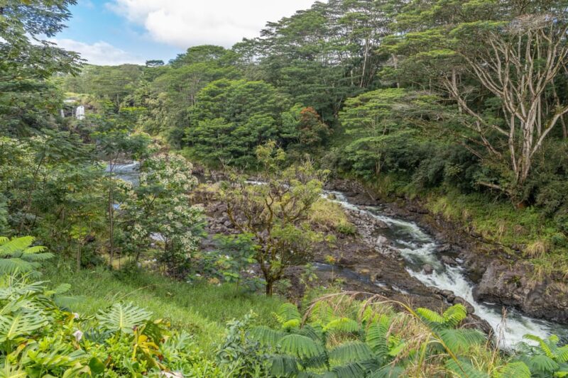 Hilo: Gardens, Waterfalls & Farmers Market Shore Excursion - Key Points