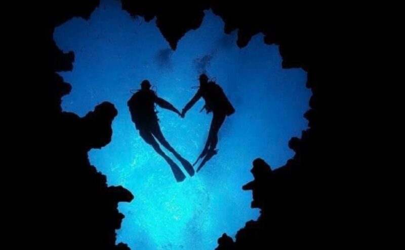 Hilo: Night Dive for Certified Divers - Equipment and Snacks Included in the Tour