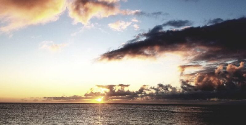 Hilo: Night Dive for Certified Divers - Who Will Most Enjoy This Night Dive Tour