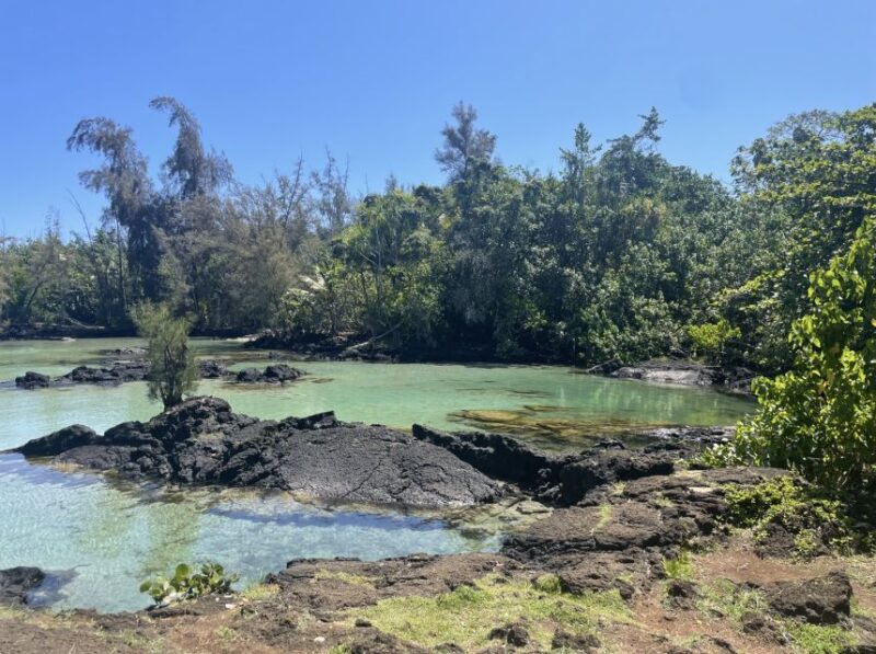 Hilo: Sea Turtle Lagoon and Black Sand Beach Snorkel - Final Thoughts on the Hilo Snorkeling Tour