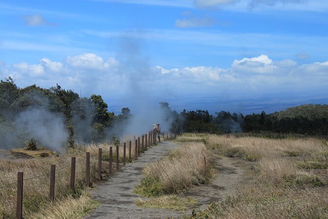 Hilo Shore Excursion: Active Volcano, Lava Tube, Waterfall and Gardens - Practical Details: Pickup, Timing, and Accessibility