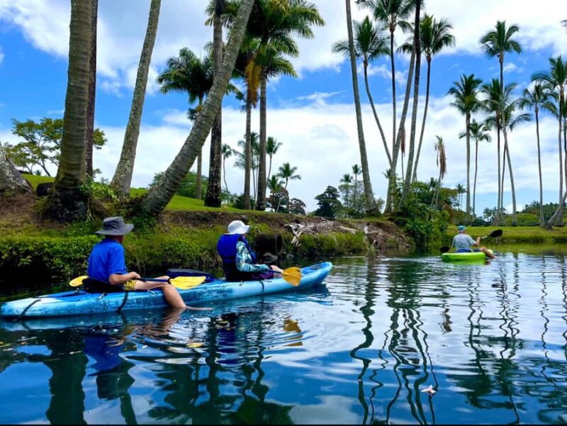 Hilo: Wailoa River to King Kamehameha Guided Kayaking Tour - Explore Hilo from the Water on a Guided Kayaking Tour