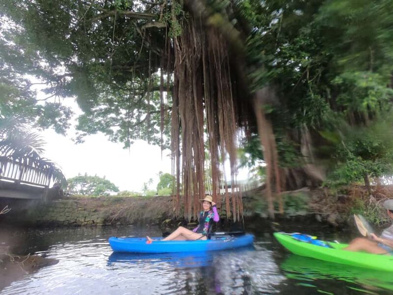 Hilo: Wailoa River to King Kamehameha Guided Kayaking Tour - From the River to the Iconic King Kamehameha Statue
