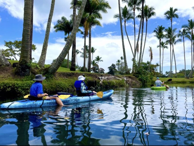 Hilo: Wailoa River to King Kamehameha Guided Kayaking Tour - The Scenic and Cultural Significance of Wailoa River