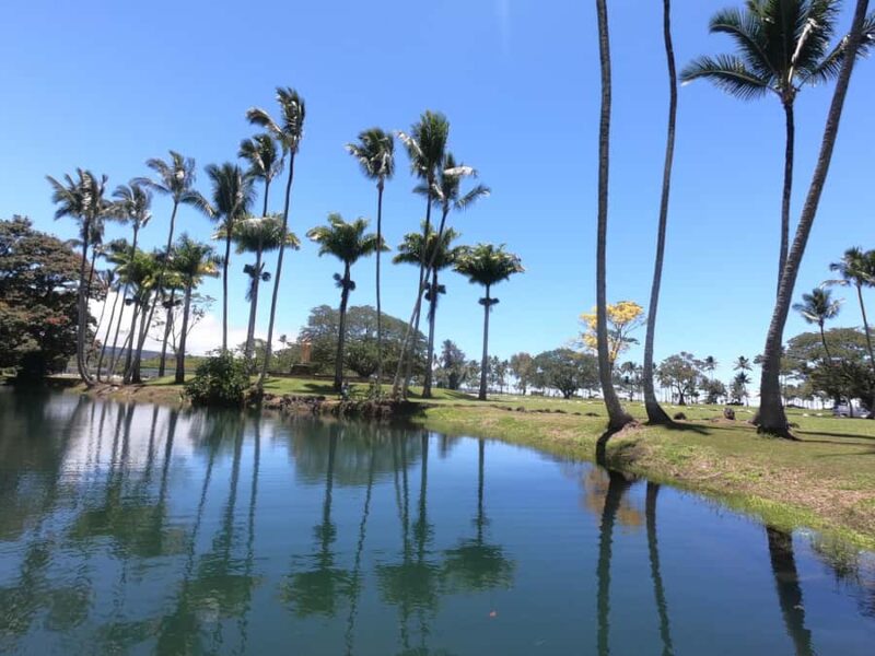 Hilo: Wailoa River to King Kamehameha Guided Kayaking Tour - Who Will Most Enjoy This Tour?