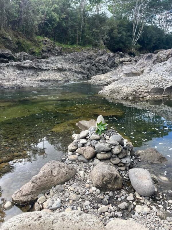 Hilo: Waterfall Hike and Swim with Native Hawaiian - Swimming at Waiale Falls – A Refreshing Highlight