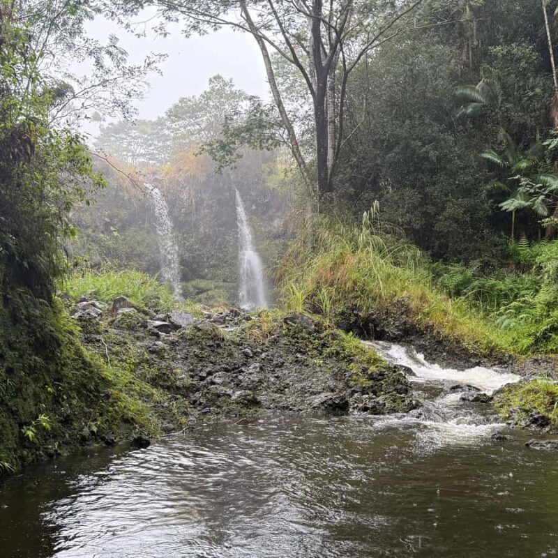 Hilo: Waterfall Hike and Swim with Native Hawaiian - Practical Tips for a Successful Waterfall Hike and Swim