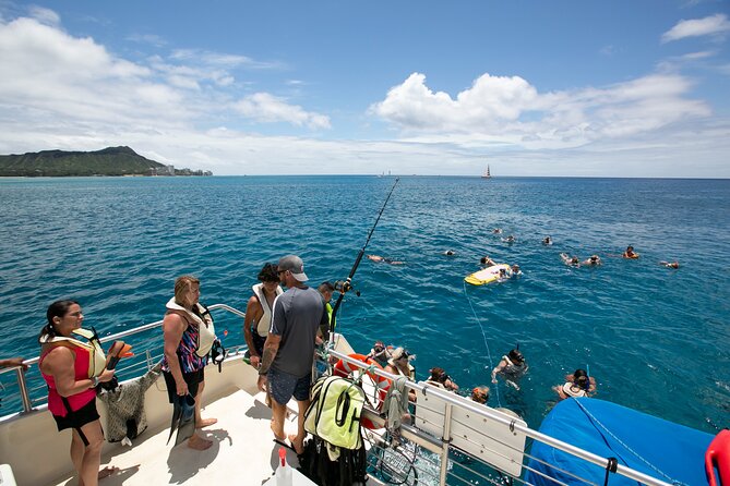 Hilton Hawaiian Village Turtle Snorkel with Optional Lunch - Optional Lunch and Refreshments