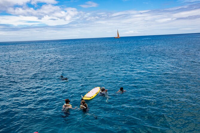 Hilton Hawaiian Village Turtle Snorkel with Optional Lunch - Meeting Point and Accessibility