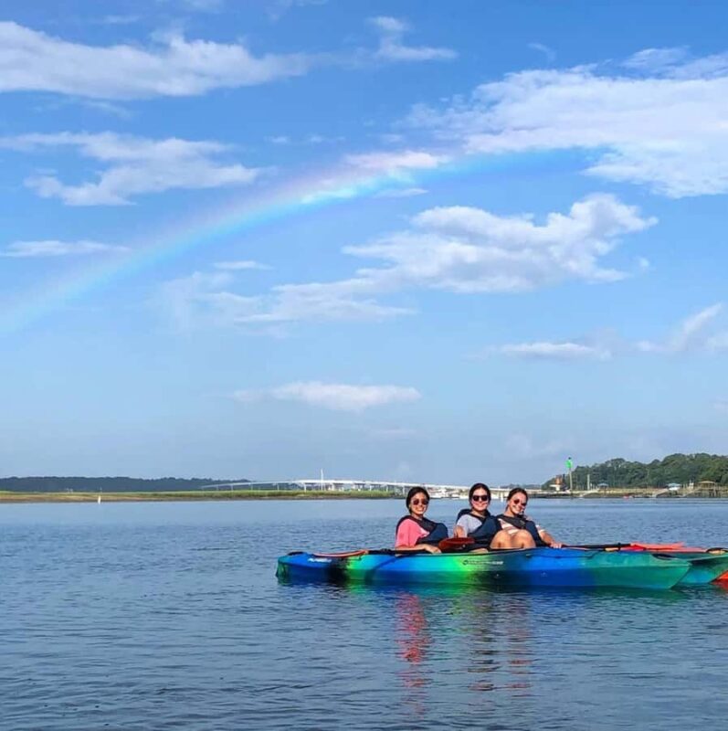 Hilton Head: 2-Hour Kayak Dolphin Nature Tour - Key Points