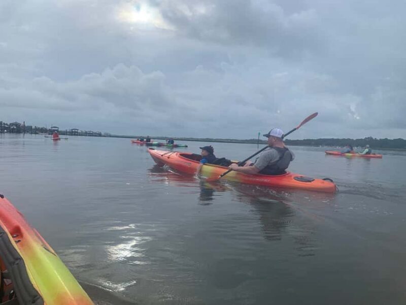 Hilton Head: 2-Hour Kayak Dolphin Nature Tour - Comparing This Tour to Other Hilton Head Wildlife Tours