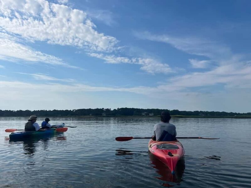 Hilton Head: 2-Hour Kayak Dolphin Nature Tour - Hilton Head: 2-Hour Kayak Dolphin Nature Tour – Final Thoughts