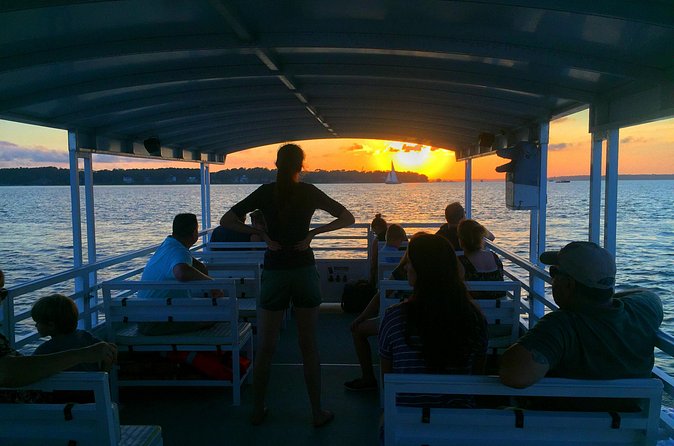 Hilton Head Dolphin Watching Cruise with Fireworks Display - Who Will Enjoy This Tour?