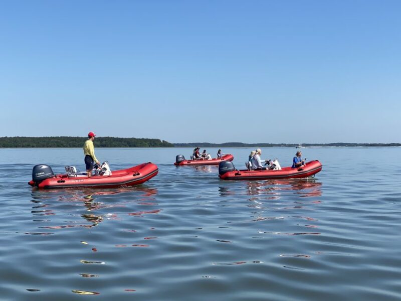 Hilton Head: Guided Disappearing Island Tour by Mini Boat - Safety, Requirements, and Practical Tips