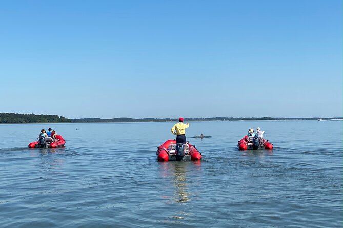 Hilton Head Guided Dolphin Watching & Sightseeing Tour via Mini Boat - What’s Included and What You Should Know