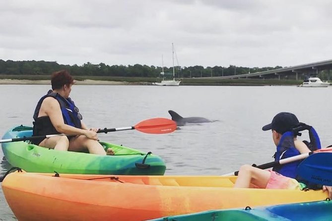 Hilton Head Guided Kayak Eco Tour - Starting Point at 86 Helmsman Way