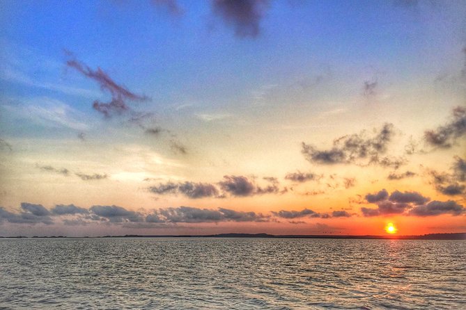 Hilton Head Guided Kayak Eco Tour - The Experience of a Relaxing Nature Tour