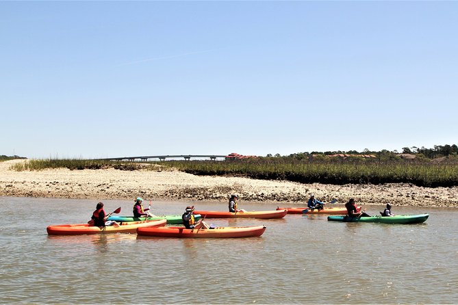 Hilton Head Guided Kayak Eco Tour - How This Tour Compares to Similar Experiences