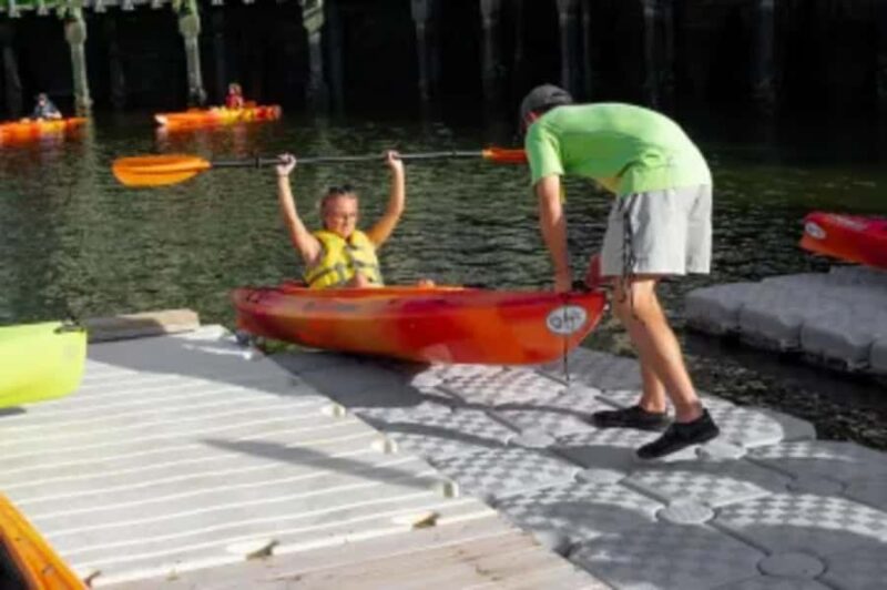 Hilton Head: Guided Kayak Nature Tour with Wildlife Spotting - Explore Hilton Head’s Coastal Ecosystem by Kayak